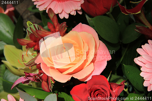 Image of Wedding flowers in red and pink