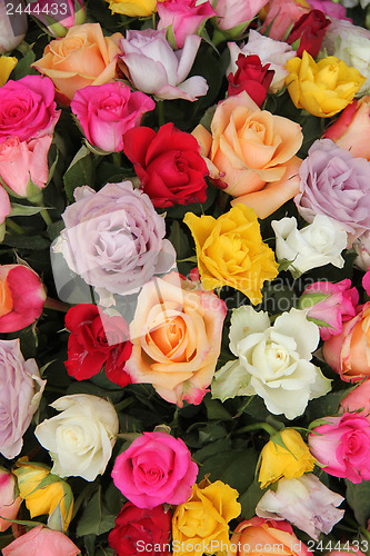 Image of Mixed rose bouquet