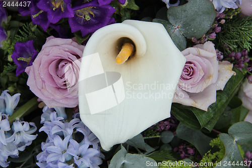 Image of Calla lily in a blue purple arrangement