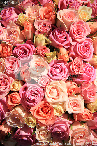 Image of Roses in different shades of pink, wedding arrangement