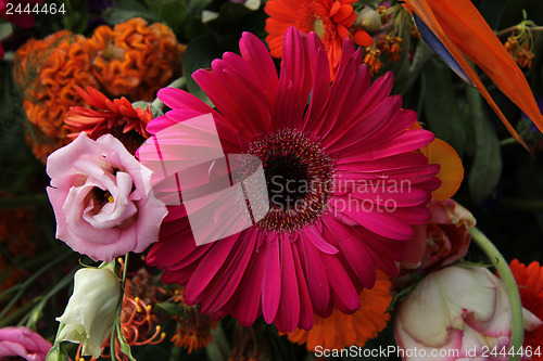 Image of Floral arrangement in pink, red and orange