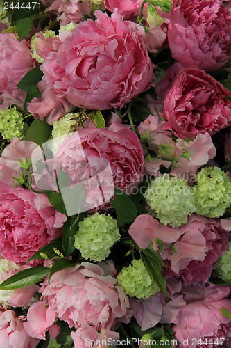 Image of Peonies in a bridal arrangement