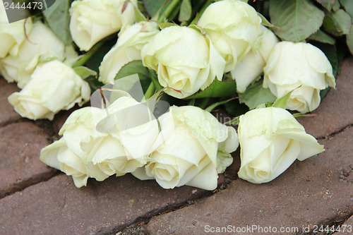 Image of Mourning red rose