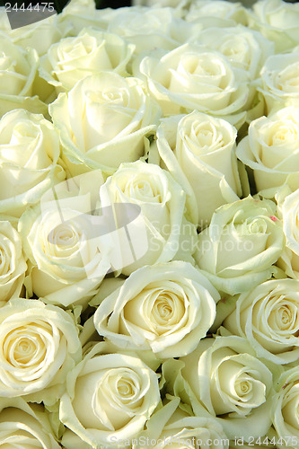 Image of Group of white roses, wedding decorations