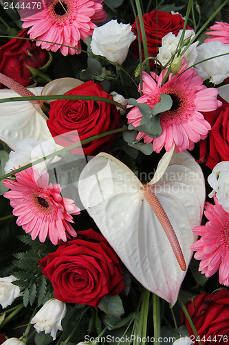 Image of Anthurium, roses and gerberas in a bridal arrangement