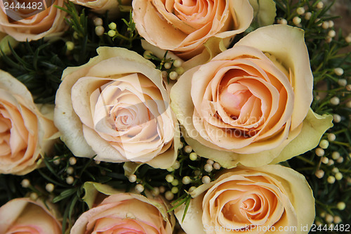 Image of pale pink wedding roses