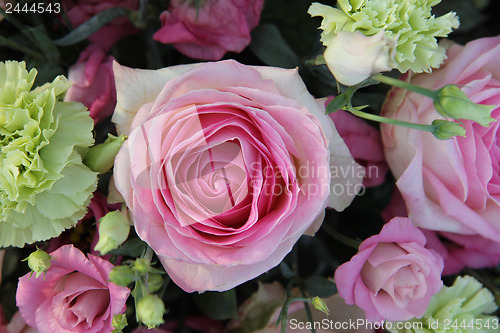 Image of Roses and carnations in bridal bouquet