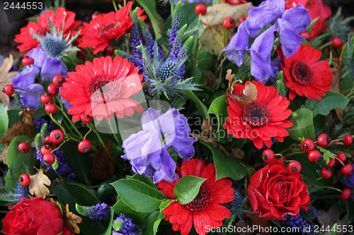 Image of Flower arrangement in red and blue