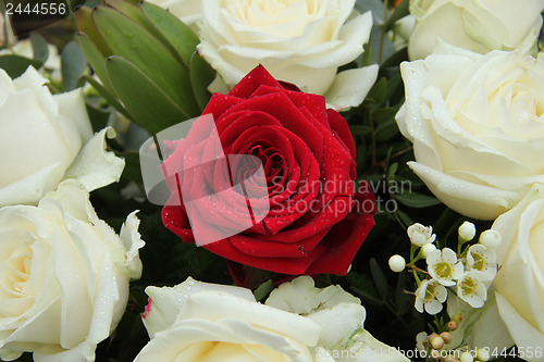 Image of Red rose in bridal arrangement