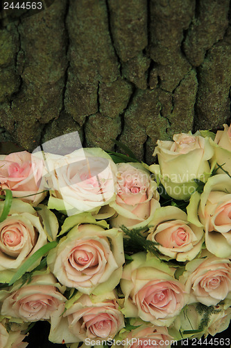 Image of Sympathy arrangement