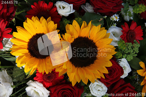 Image of Sunflowers and roses