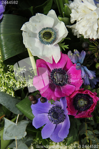 Image of Anemones in bridal arrangement