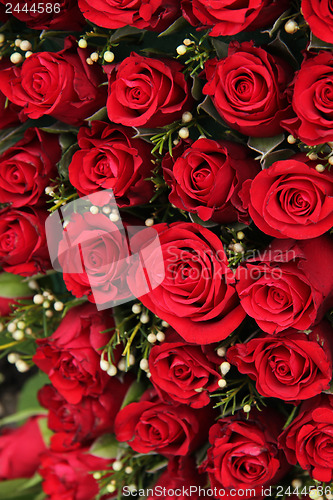 Image of Red roses and small white berries