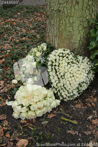 Image of Heart shaped sympathy flowers