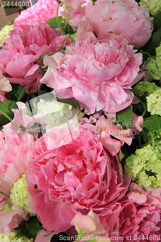 Image of Peonies in a bridal arrangement