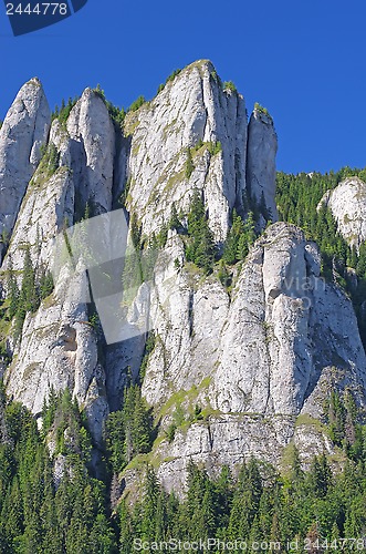 Image of Rocks and trees