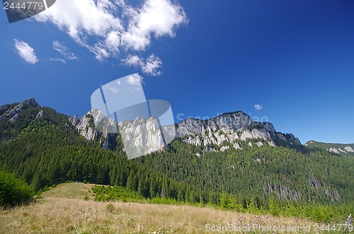 Image of Summer mountain view