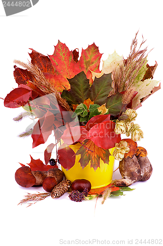Image of Autumn Bunch