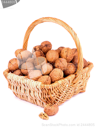 Image of Walnuts
