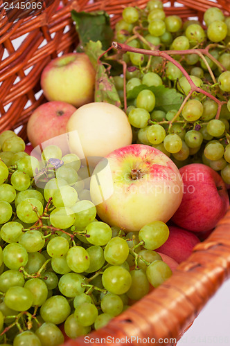 Image of apples and grapes