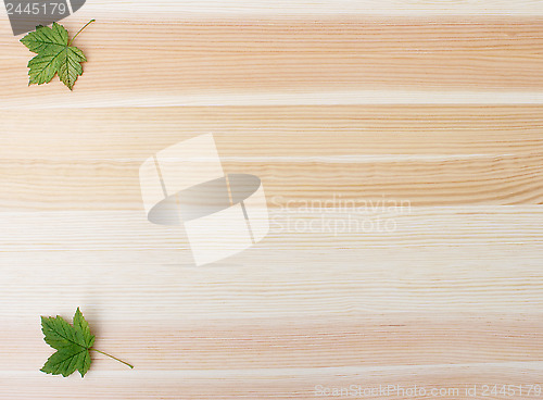 Image of Two green sycamore leaves on a wood background