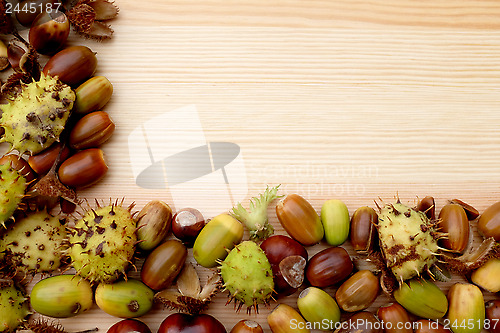 Image of Two-sided frame of natural fall material - horse chestnuts, acor