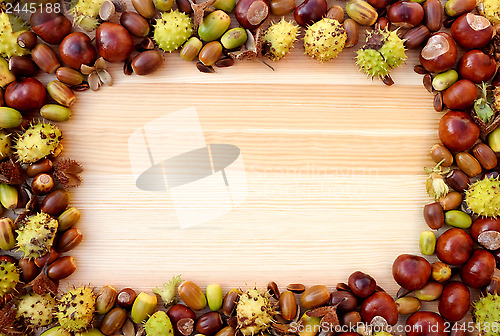 Image of Autumn detritus border of beechnuts, conkers and acorns on wood