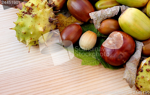 Image of Cobnuts, horse chestnuts, acorns and autumn leaves diagonal bord