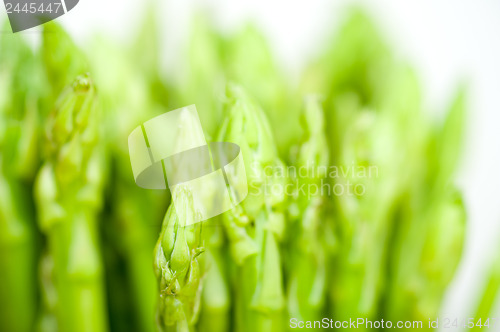 Image of fresh asparagus over white