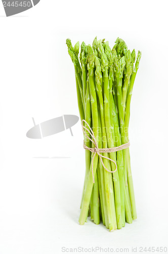 Image of fresh asparagus over white