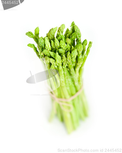 Image of fresh asparagus over white