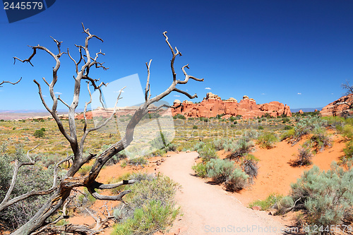 Image of Arches National Park