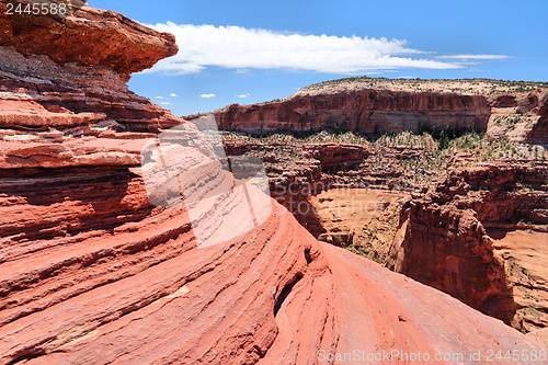 Image of Canyonlands