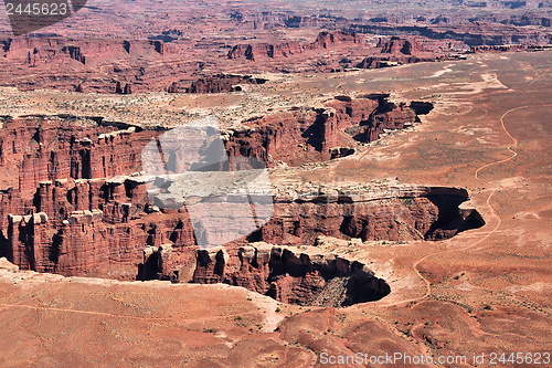 Image of Canyonlands National Park