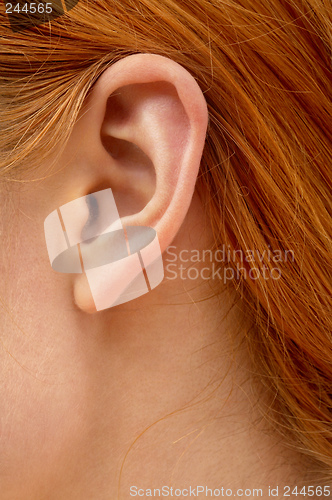 Image of ear of redhead lady