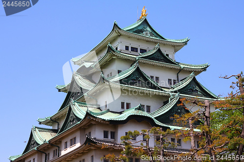 Image of Nagoya castle