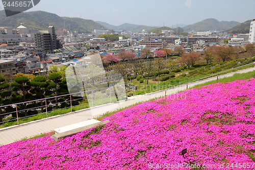 Image of Japan - Himeji