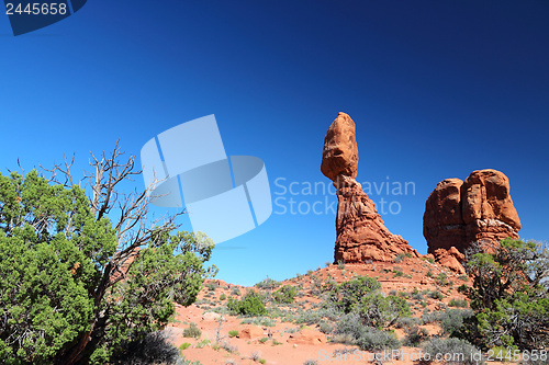 Image of Arches National Park