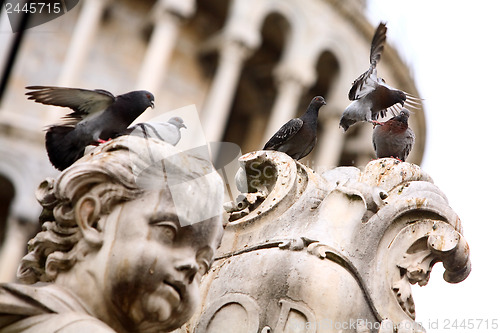 Image of Group of pigeons on the statue 