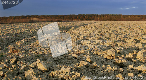 Image of Cultivated field 