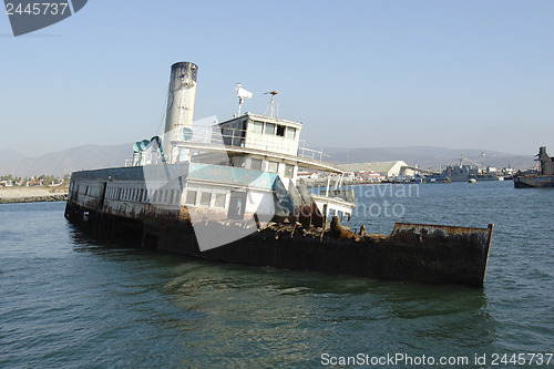 Image of 	Abandoned ship with sea lions#4