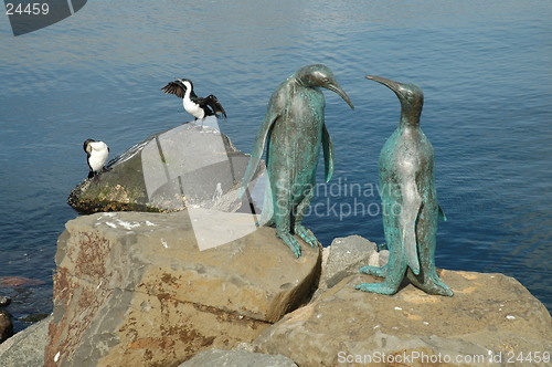 Image of Birds of a feather