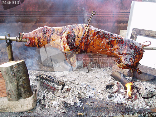 Image of Grilled suckling pigs