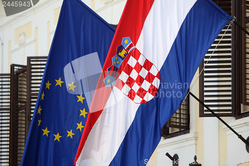 Image of Two Flags