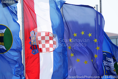 Image of Waving Flags