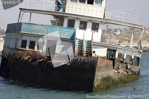 Image of 	Abandoned ship with sea lions#1