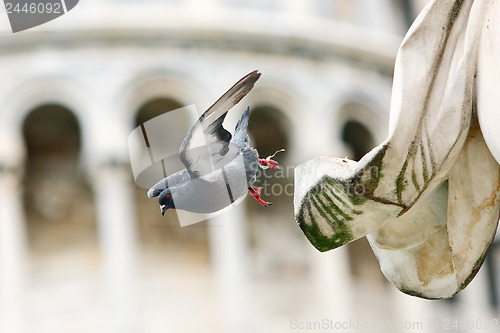 Image of Dove takes off from the statue 