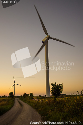 Image of Windmills at roadside