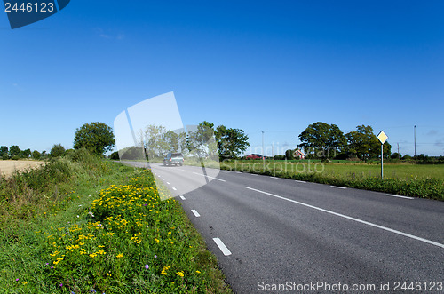 Image of Blooming roadside