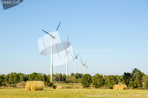 Image of Windmills farm